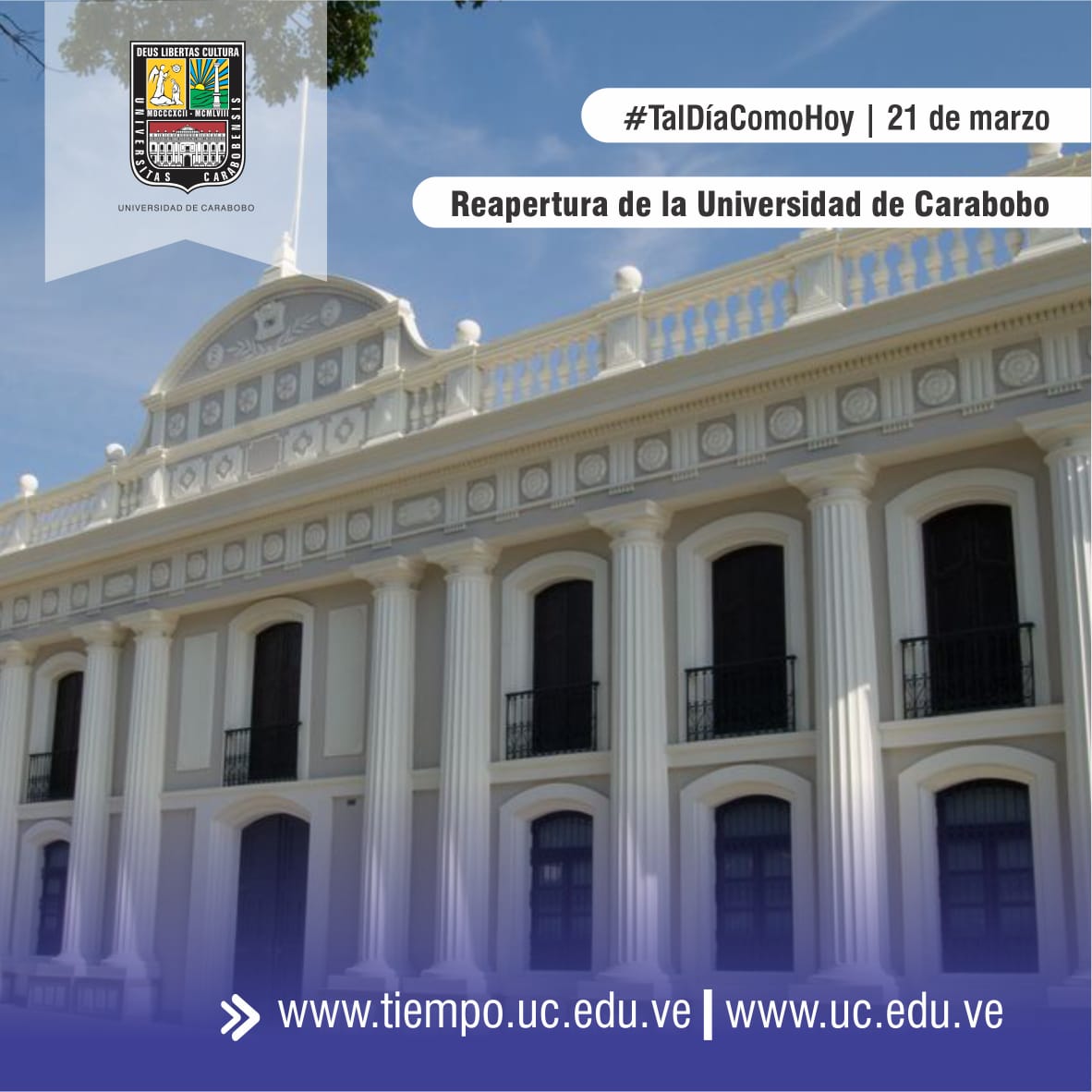 Universidad de Carabobo tweet media