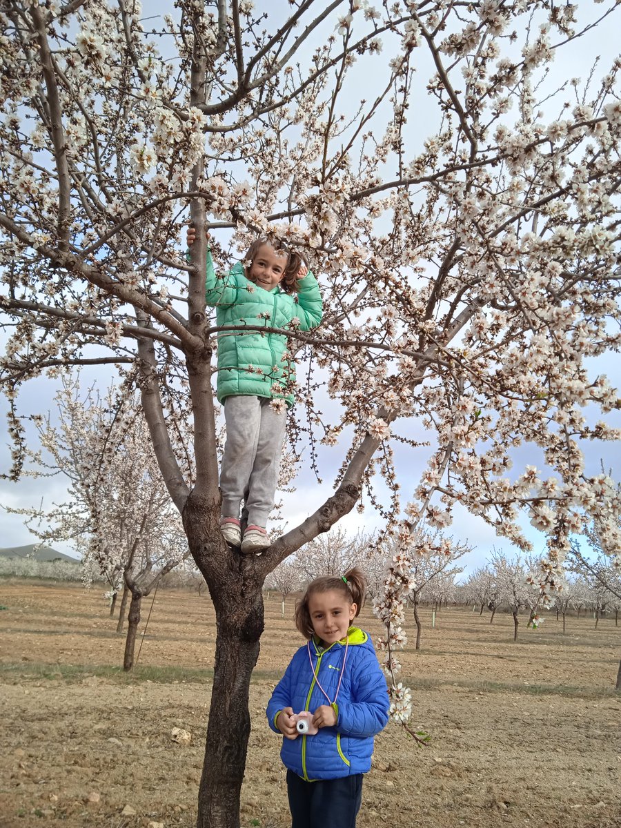 alegargon92's tweet photo. @elcampoCMM Alejandra y Celina con sus almendros en almonacid de toledo https://t.co/tctxbaDmyY