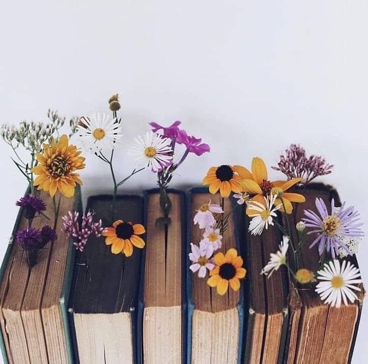 Caro69cr's tweet photo. "Sí, merezco una primavera, y no le debo nada a nadie”.
-Virginia Woolf https://t.co/hkFFxos6Xm