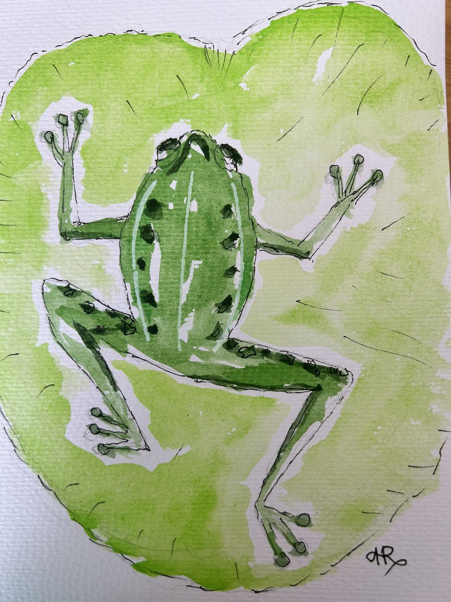 Day 21 prompt is bullfrog. Thought you might like this, @agnesbookbinder