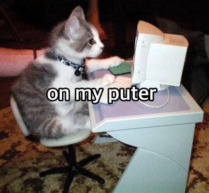 WholesomeMeme's tweet image. 