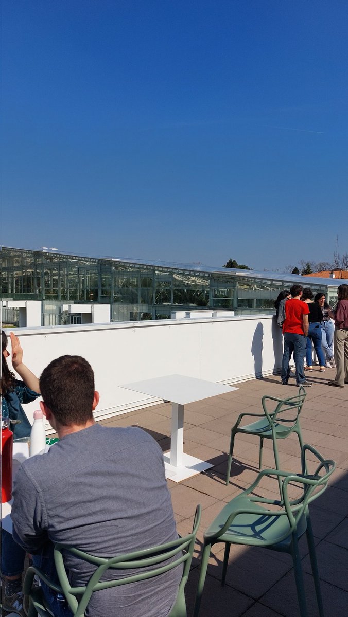 cla_beraldo's tweet photo. Let's start spring with Physco transformation @mateutoni 💚 🤞
#dibio #plantlab #plantscience #photosynthesis https://t.co/S5IRYm3apx