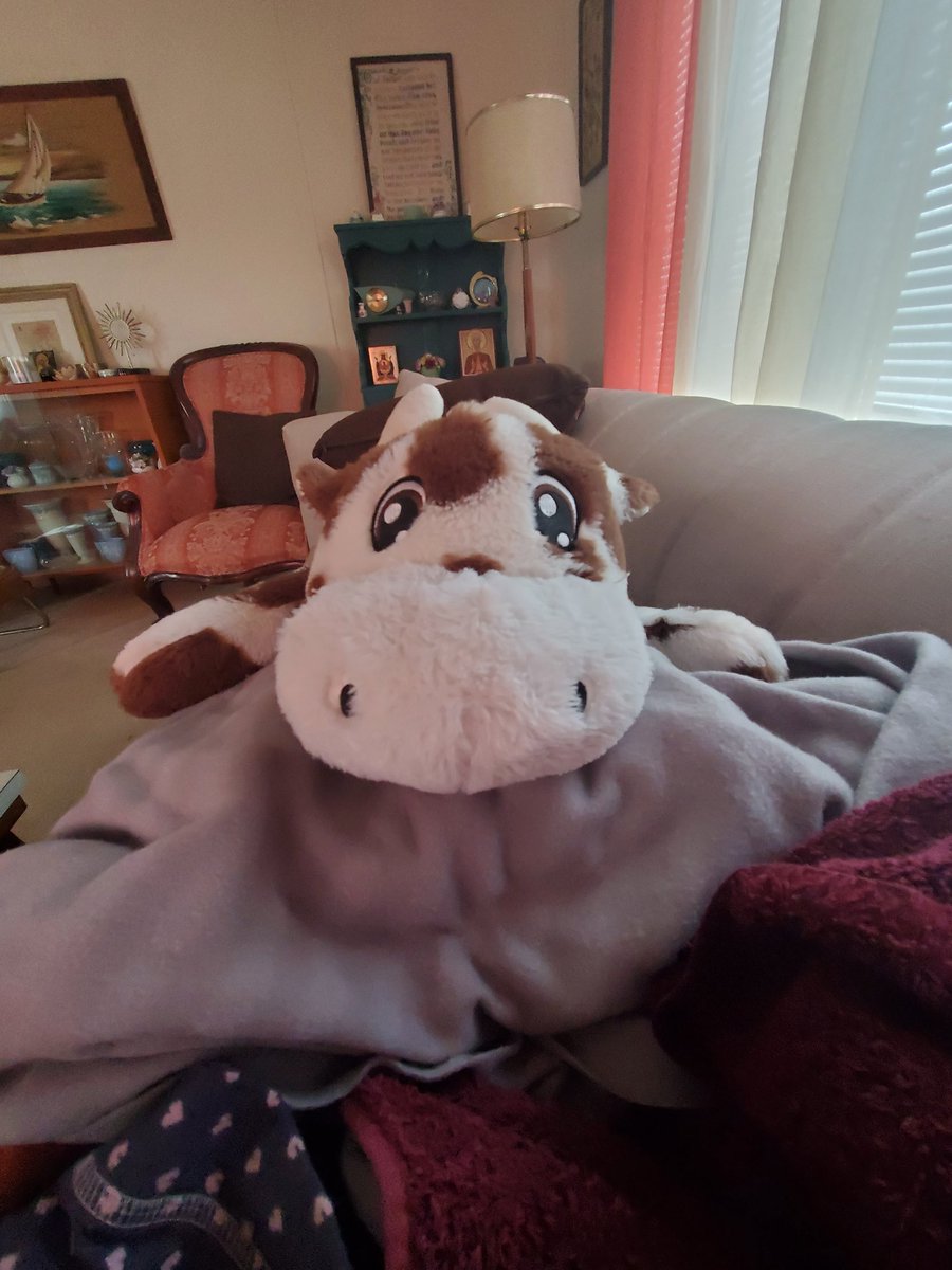 Chemoo the Chemootherapy Cow tweet media