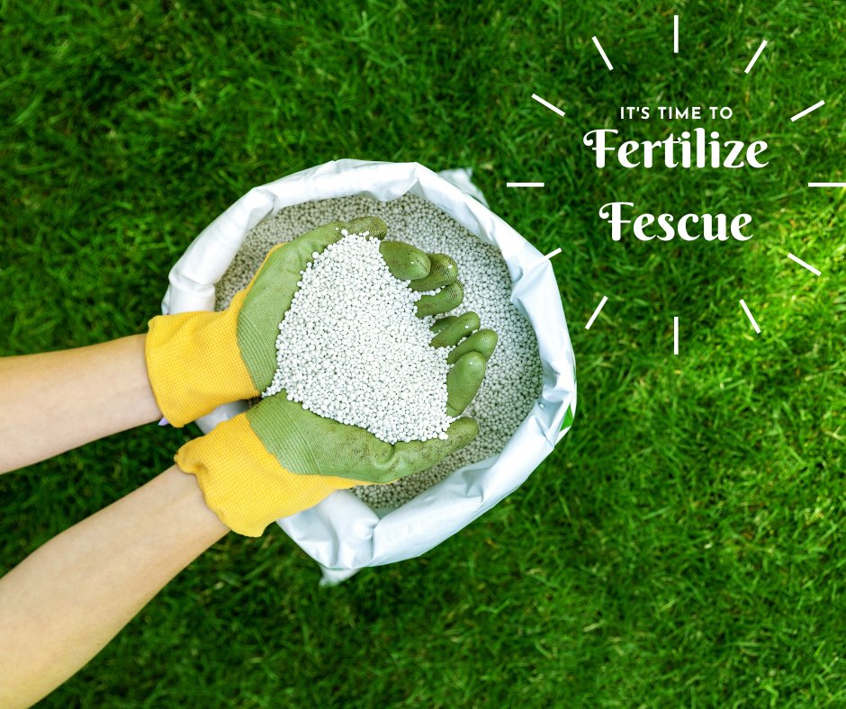 EastonSod's tweet photo. Who got their fertilizer down before the rain? We're open until 5PM if you want to get some before the next round. 🌱 https://t.co/CjE4lfW1Oi