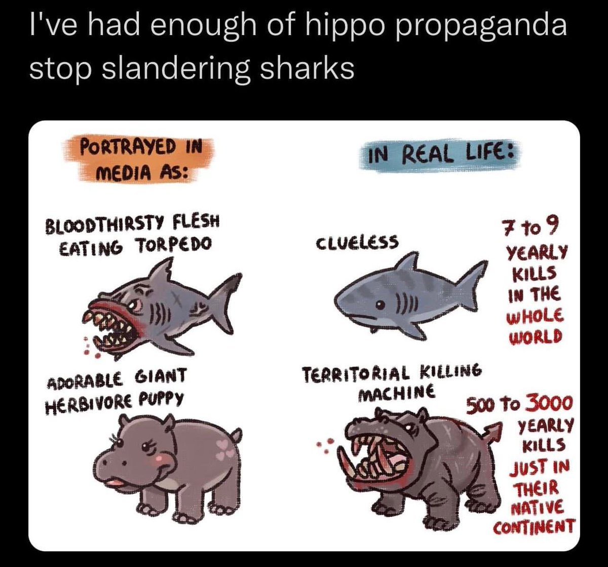 Thiazole42's tweet photo. @RightWingCope We've killed more sharks than they have killed us. https://t.co/zyioJxfQ67