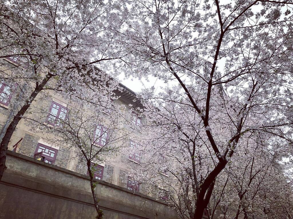 kdxia's tweet photo. https://t.co/3xhZR7et5Y https://t.co/RdxwKebCMq