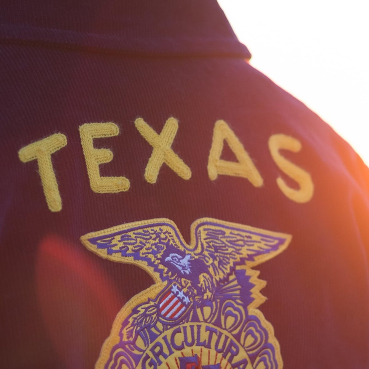 Texas FFA tweet media