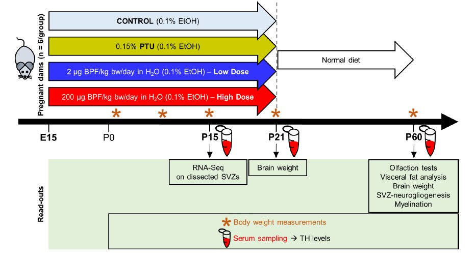 @ENDpoiNTs_EU tweet media