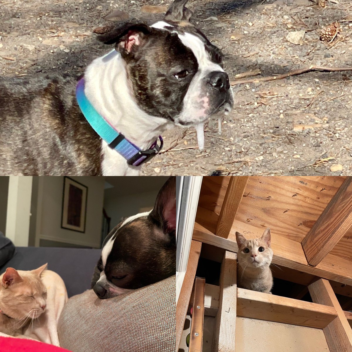 LPorter6 tweet media