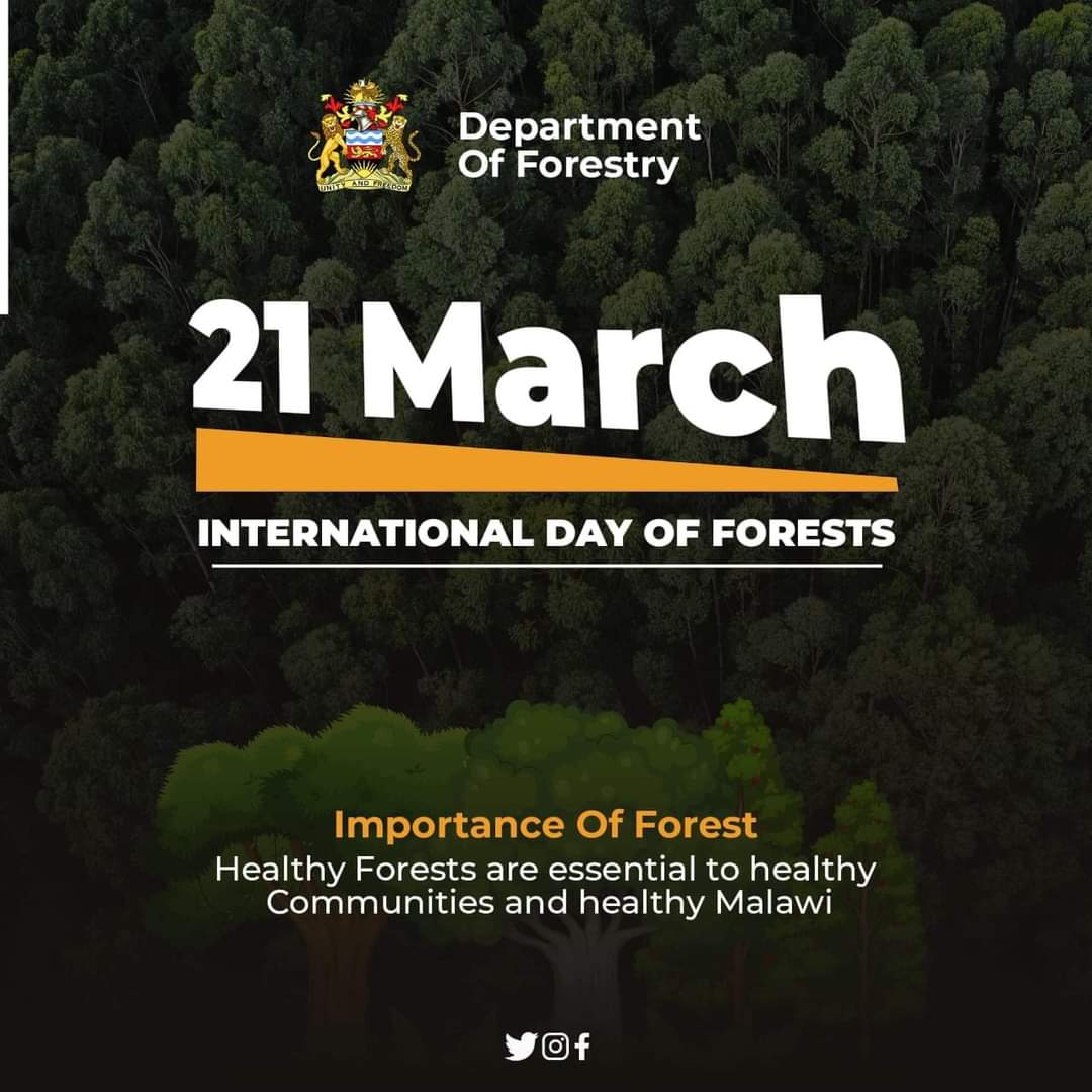 NanjalaRay's tweet photo. I dedicate this year's commemoration of the #IDF to the victims and survivor of #CycloneFreddy. This year's #IDF is being celebrated under the theme "Healthy forests are essential to health communities and healthy Malawi"

#IDF #WeForest #CycloneFreddy #LossAndDamage https://t.co/i6KJMlZoLK