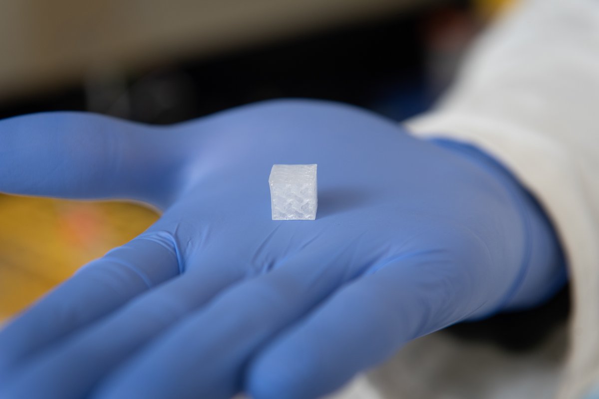 WFIRMnews's tweet photo. We are part of this - sending bioprinted liver/kidney tissues to assess microgravity's impact for STAR program - Space Tissue and Regeneration! 
#Regeneration #regenerative #regenmed https://t.co/KuWsJJezMx