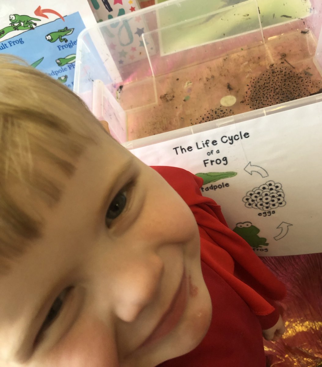 Roscoe_Primary's tweet photo. We have something really special in our Reception classroom! Frog eggs! We’ve looked at the life cycle of a frog, and now we are patiently waiting for our tadpoles to arrive!🐸 #RP_Reception #RP_Science #RP_UnderstandingTheWorld https://t.co/6b7SQ8aKx9