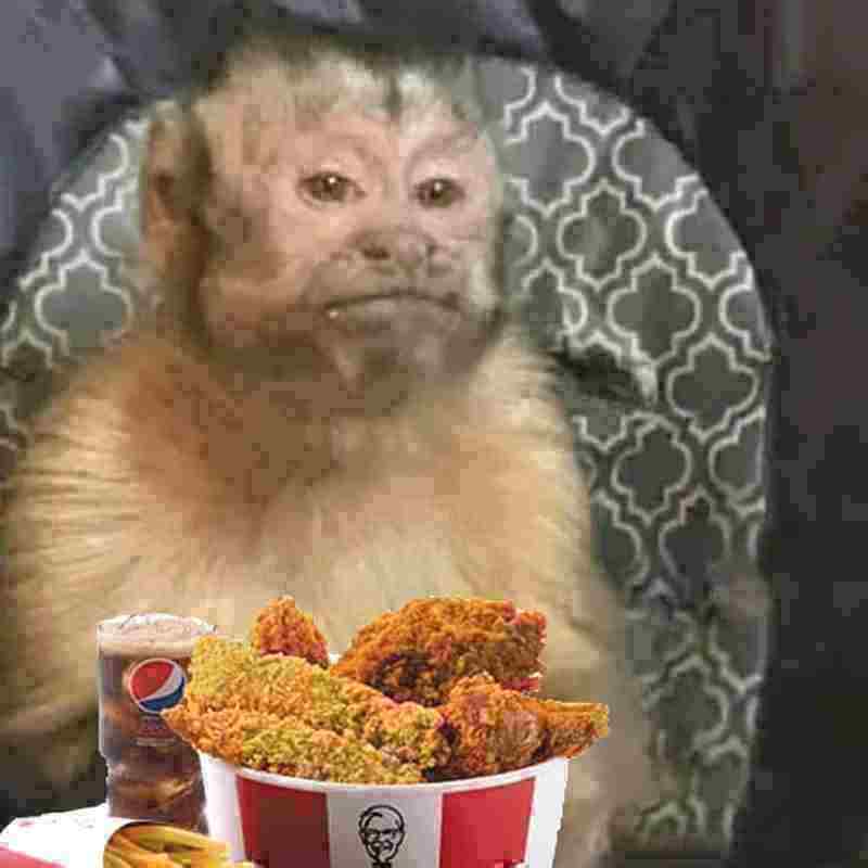 KFC_ES's tweet photo. niño mira una foto

yo: https://t.co/KrqyB9Afmg