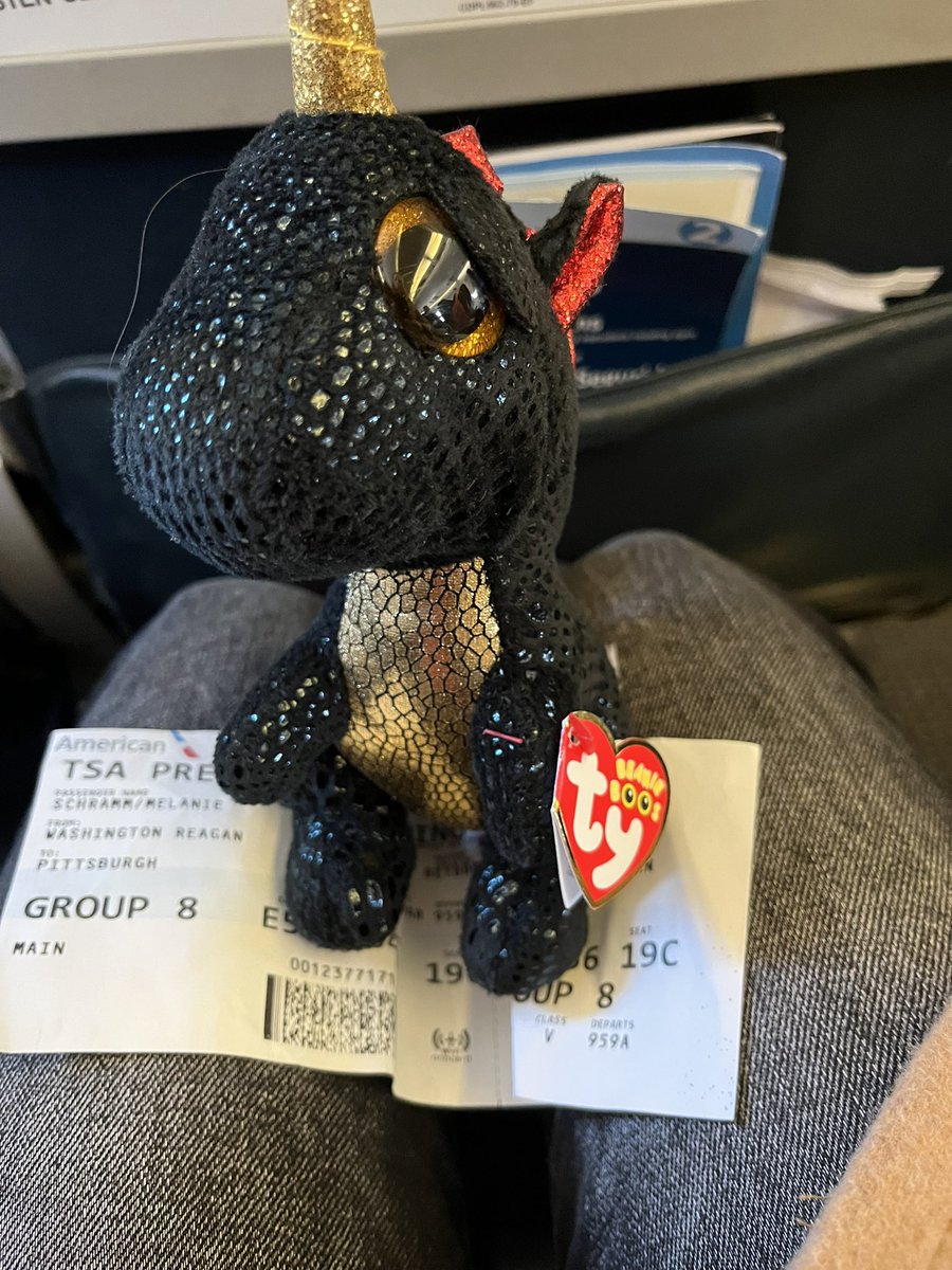 HigherEdMs's tweet photo. A promise kept to a special person to take his dragon on a business trip. It’s the little things that make me smile sometimes. #MomTravelsWell #ComingHome https://t.co/pUZb2lapzR