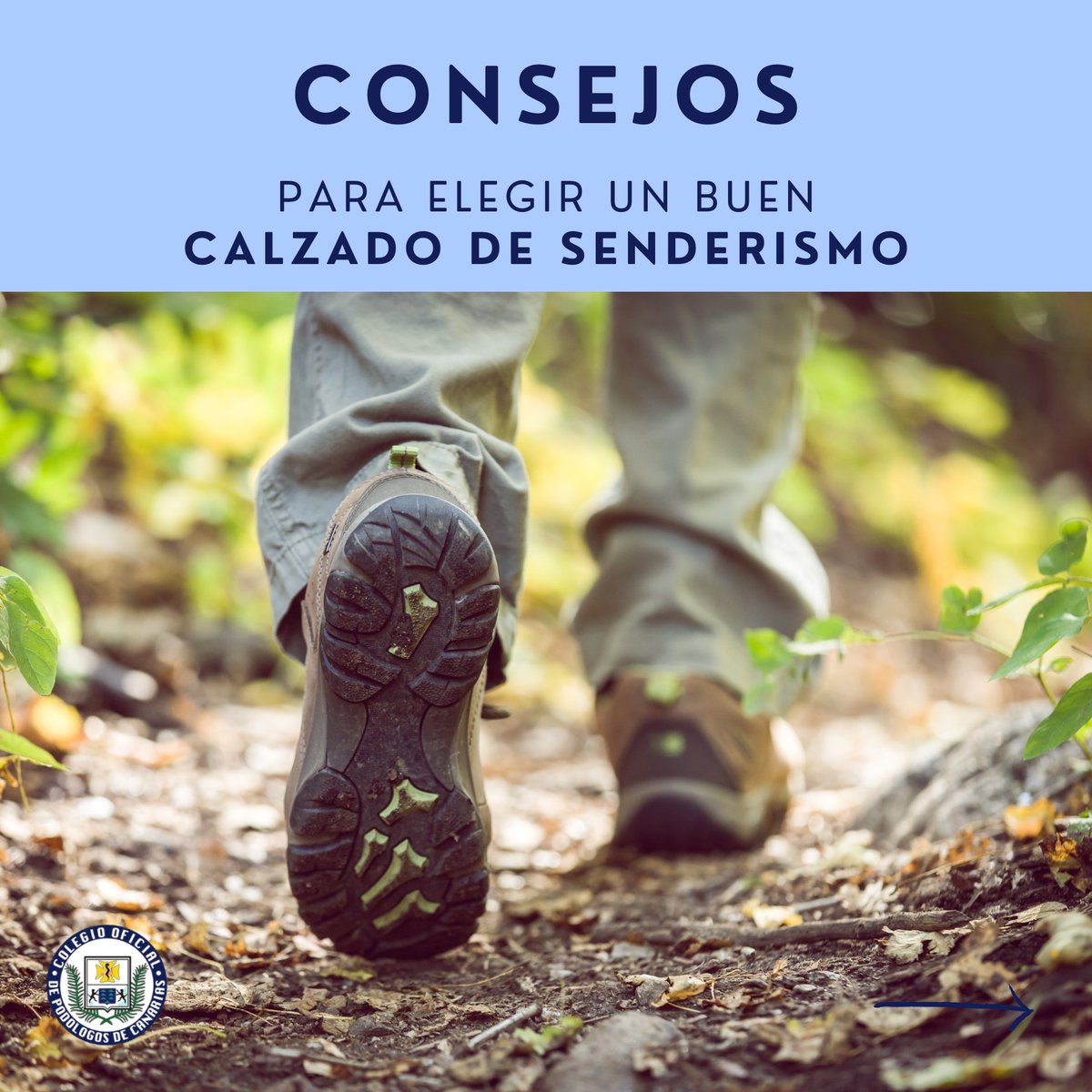 PodologosCa's tweet photo. Con el comienzo de la primavera apetece mucho salir a recorrer los rincones más bonitos de cada una de nuestras 8 #IslasCanarias 🇮🇨

Aquí van consejos para elegir un buen #calzado de #senderismo

#podología #cuidadodepies #primavera #yovisitoalpodologo #aventura  #caminar #spring https://t.co/aggrPqgXH7