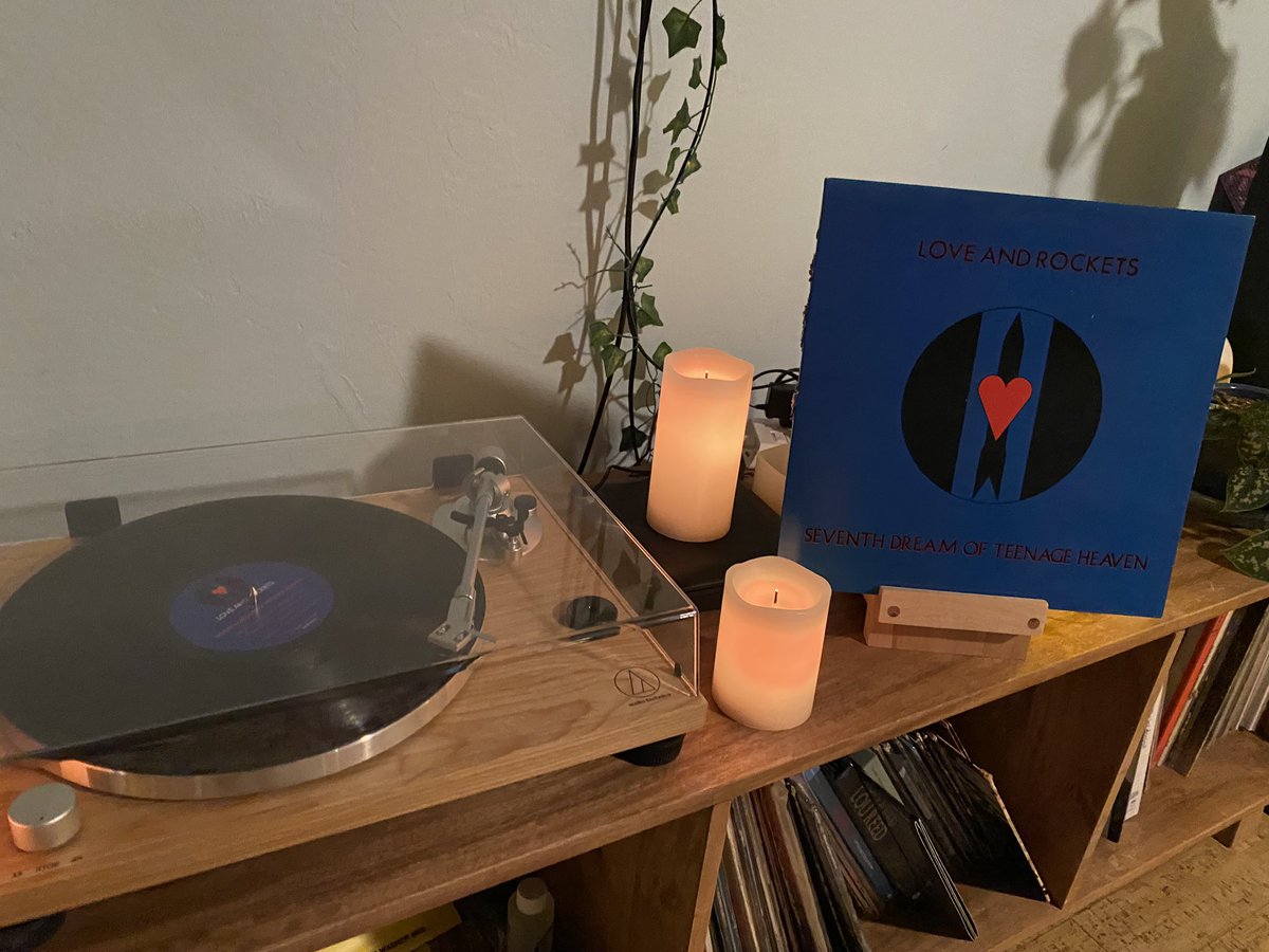 LauraBellWay's tweet photo. @davidjhaskins @LlSTENlNG_PARTY @Tim_Burgess @darwinmeiners I love this album so much. Haunted and The Game. See you in Oakland. https://t.co/VuCIl9fXyg