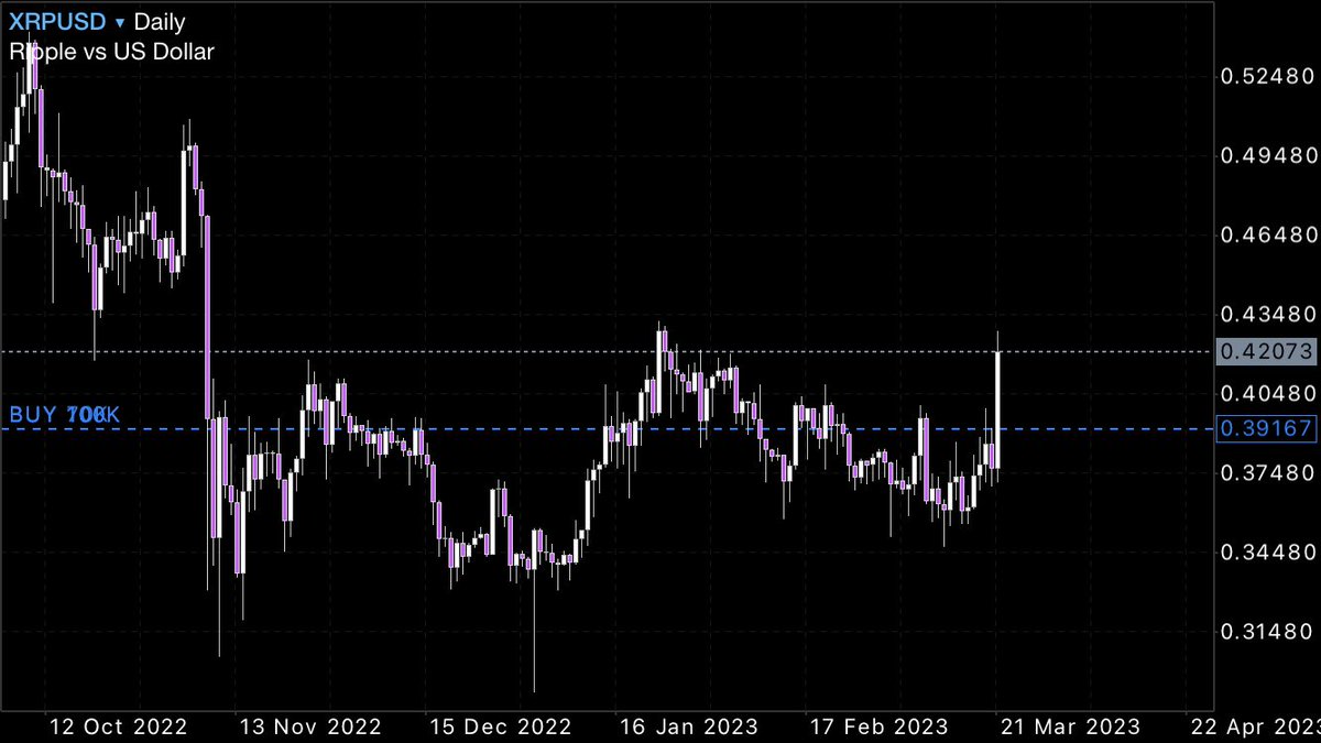 フラミンゴ tweet media