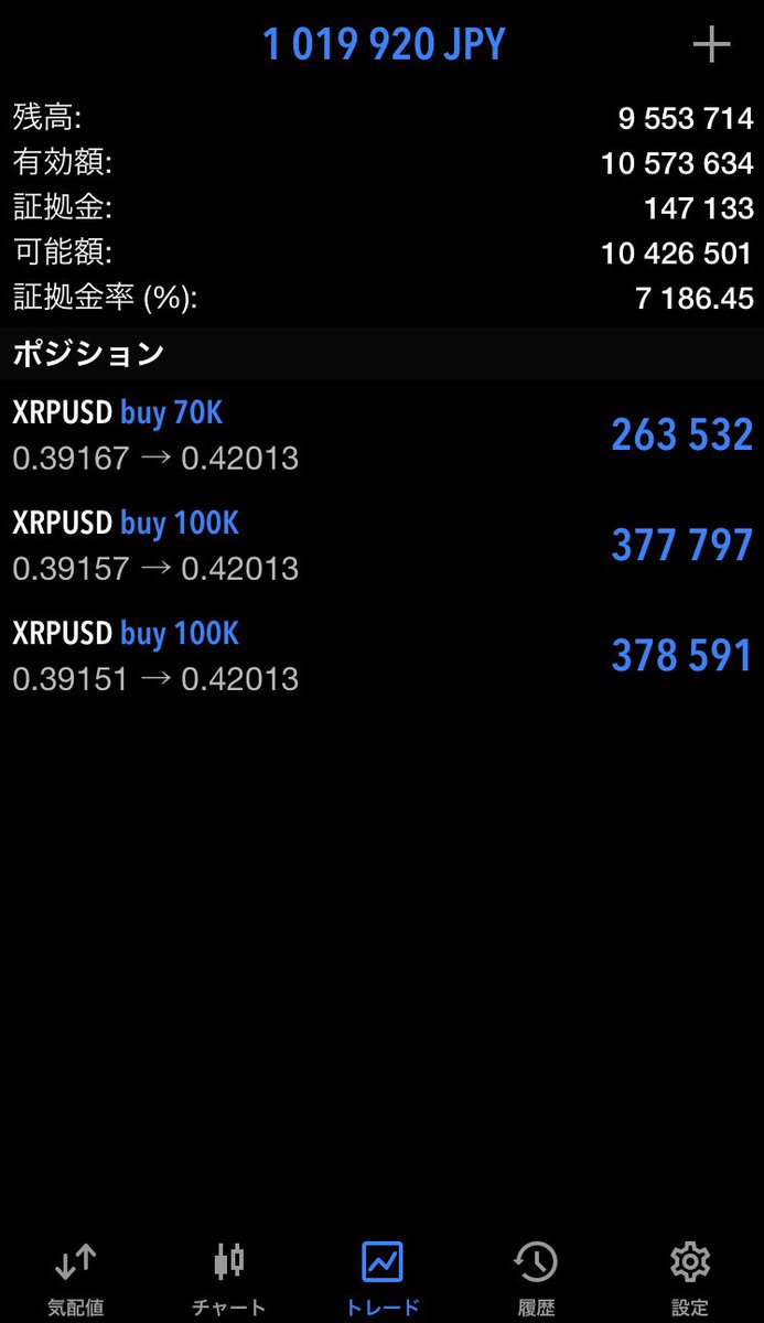 フラミンゴ tweet media