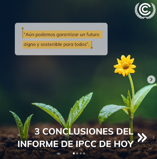 ADAPTACLIM ARAUCANÍA tweet media