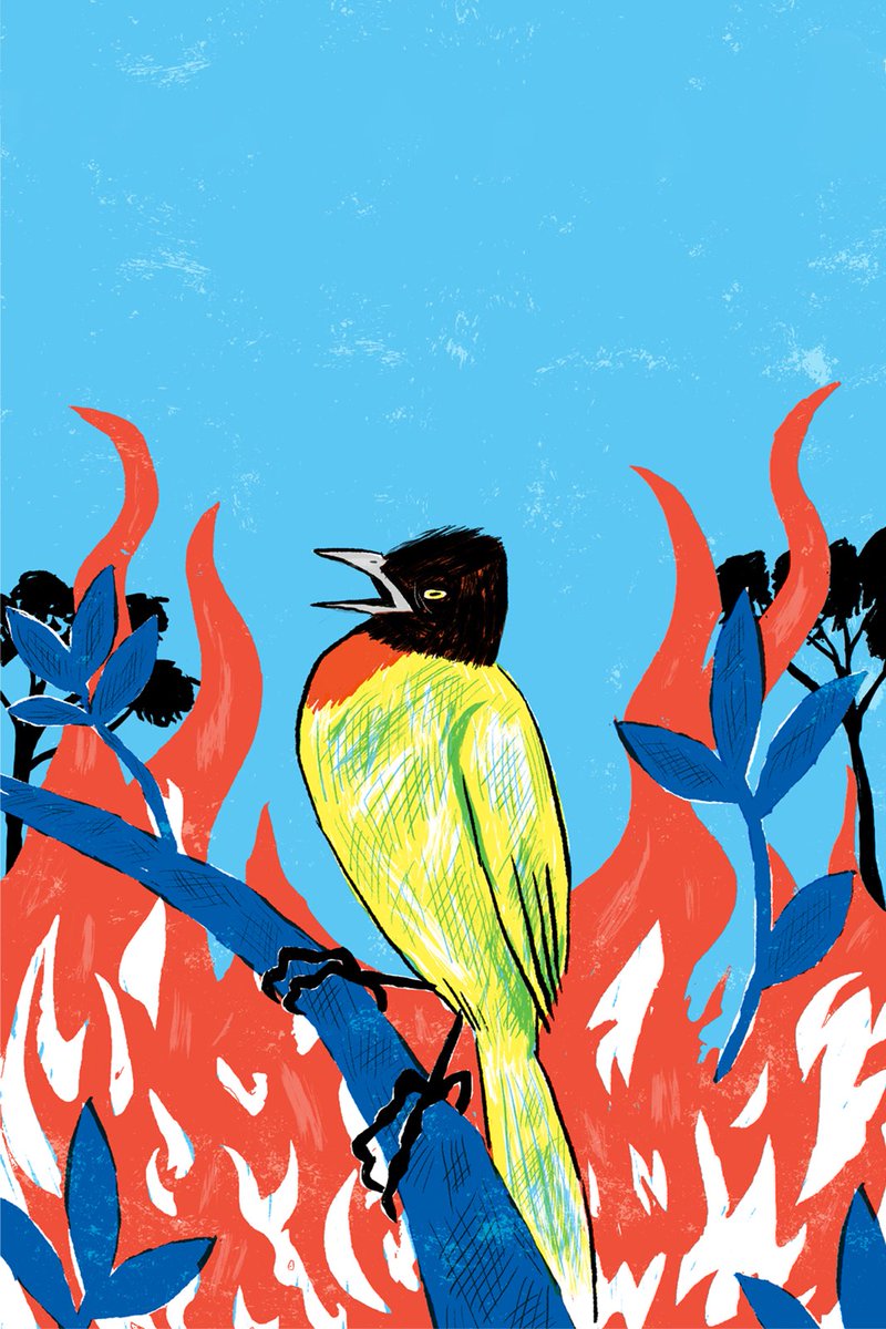 savemollemgoa's tweet photo. Forest fragmentation has been shown to increase the frequency of #ForestFires, as well as their intensity and extent, particularly in tropical forests. Stop railway double-tracking through Goa's Western Ghats and our villages! @wii_india #GoaIsBurning #StopDoubleTracking https://t.co/tyviwP5l7g