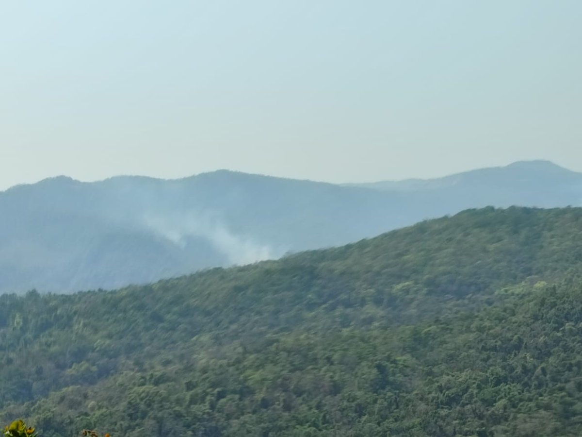Save Mollem | âAmka Naka Double Trackingâ (@savemollemgoa) on Twitter photo Forest fragmentation has been shown to increase the frequency of #ForestFires, as well as their intensity and extent, particularly in tropical forests. Stop railway double-tracking through Goa's Western Ghats and our villages! <a href="/wii_india/">Wildlife Institute of India</a>Â #GoaIsBurning #StopDoubleTracking Forest fragmentation has been shown to increase the frequency of #ForestFires, as well as their intensity and extent, particularly in tropical forests. Stop railway double-tracking through Goa's Western Ghats and our villages! <a href="/wii_india/">Wildlife Institute of India</a>Â #GoaIsBurning #StopDoubleTracking