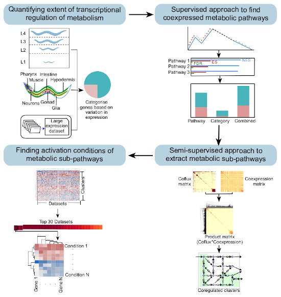 MolSystBiol's tweet photo. Systems-level analyses in #Celegans show widespread transcriptional regulation of metabolic genes, coexpression of metabolic pathways & conditions of pathway activation/repression ➡️ https://t.co/fOrNwHIr98 @WalhoutMarian @ShivaniNanda @UMassChan #metabolism #metabolicnetwork https://t.co/PXhlyf7I5k