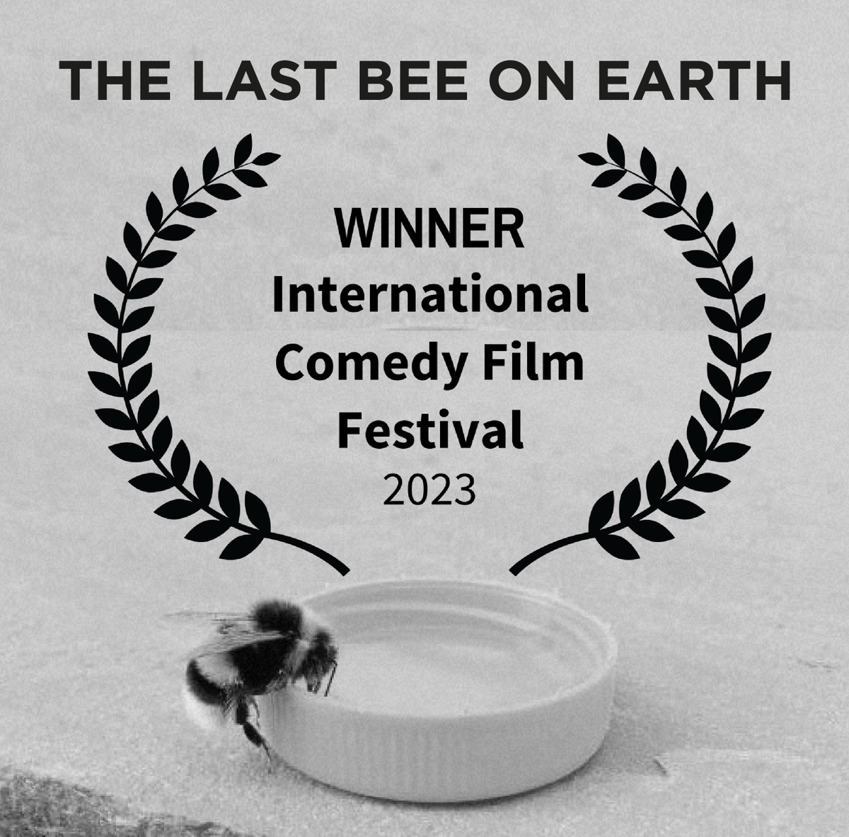 Nick Flügge - writer / director / umlaut bearer tweet media