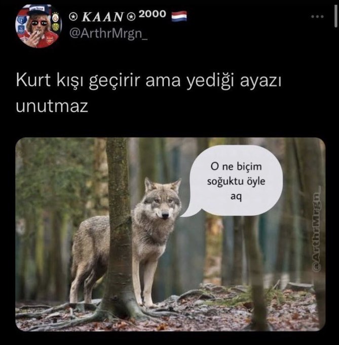 darkmemes31's tweet photo. https://t.co/gqhz4KFYkj