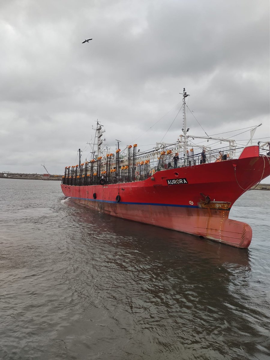 JGradmont's tweet photo. 🚢Los poteros de la empresa, Mateo I (de 700t de bodega) y el Aurora (650t) navegan francos hacia la zona de pesca🦑
➡️Ambos son de construcción japonesa 🇯🇵 y zarparon días atrás en perfectas condiciones ¡¡¡Buenos vientos y pesca!!! https://t.co/Uqp2Sq0A2F