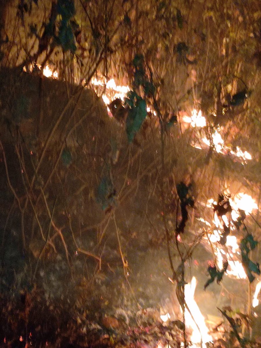 TallulahDSilva's tweet photo. We cannot afford to have Mollem burning again! The link between forest fragmentation (caused by large infrastructure projects) and the frequency of forest fires has been scientifically proven. Please note  @bhlab_india @visrane #SaveMollem #GoaIsBurning #StopDoubleTracking https://t.co/LVbksXJD6y