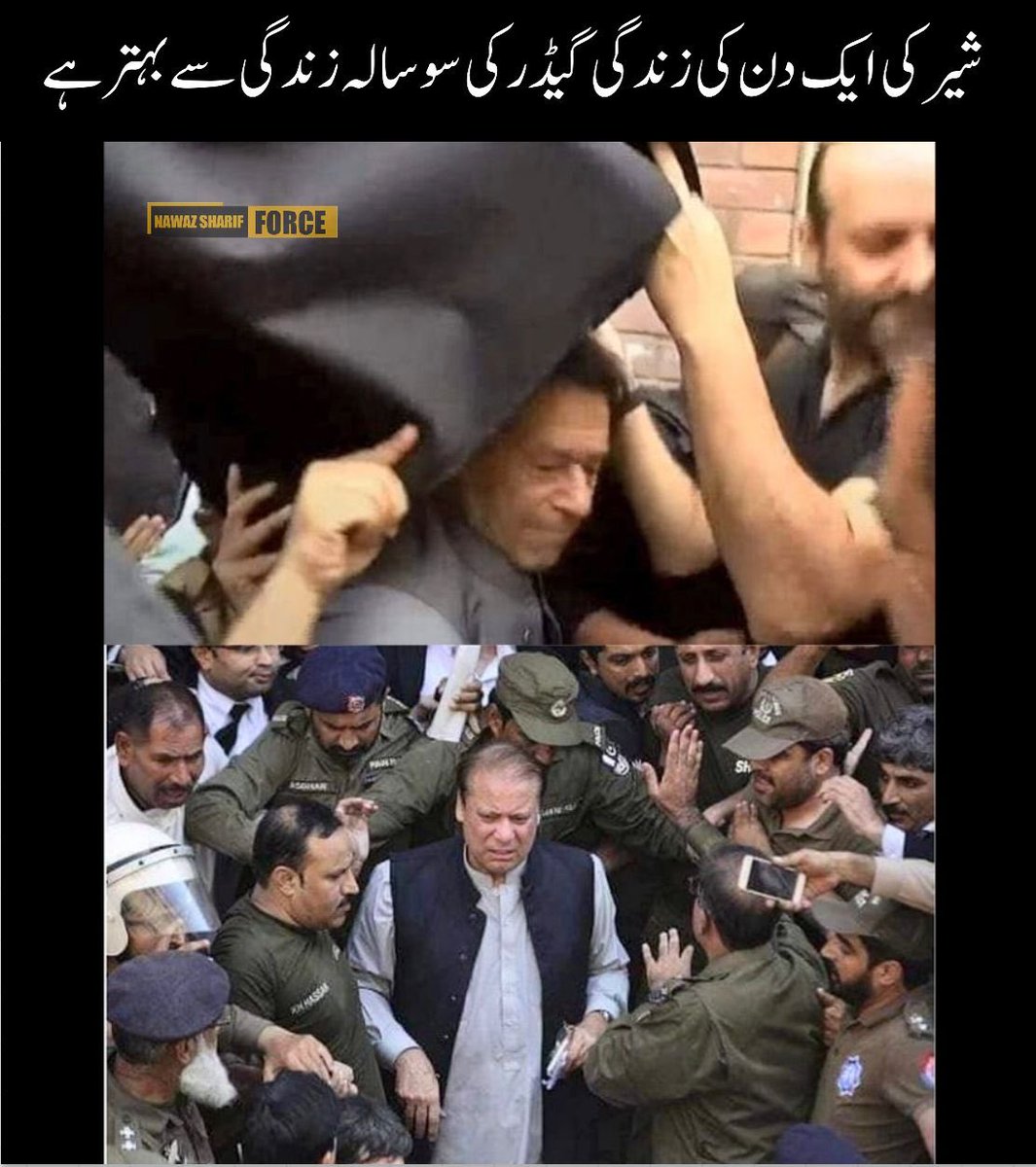 شیر کی ایک دن کی زندگی گیدڑ کی سو سالہ زندگی سے بہتر ہے۔