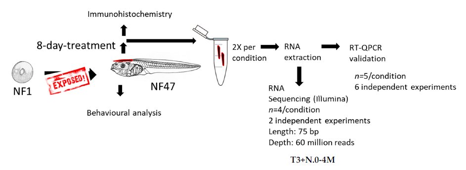 Exciting new research from our partners in Paris, reveals that embryonic exposure to a mixture of EDCs found in human amniotic fluid can significantly alter gene expression of neurodevelopmental genes and decrease tadpole motility. Read the study here: doi.org/10.3390/ijms24…