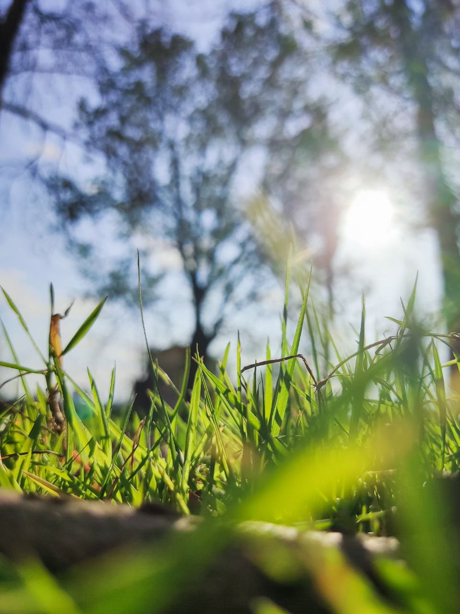 Gm ☀️
Did you grab your new year gift? 💚🇮🇷
remaining editions will be burnt tomorrow night 🔥🔥🔥

"Fleeting Moments"
available on OBJKT - 0.02 $XTZ
(Link's below 👇🔗)

#FriikkiSkulls #NFT #FriikkiFam #tezos