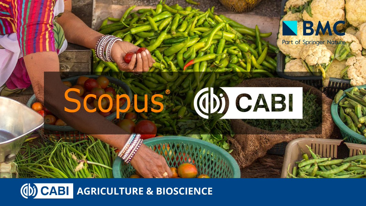 CABI_Research's tweet photo. 🤝🍾 We are pleased to announce that CABI Agriculture and Bioscience has been accepted by @Scopus!

▶️ View the latest articles here: https://t.co/ZJnDCGuksi https://t.co/uO4JZugMM4