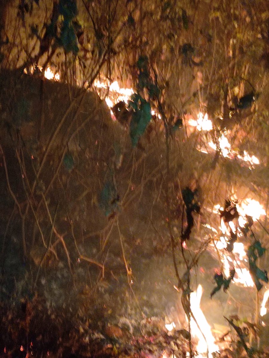 savemollemgoa's tweet photo. We cannot afford to have Mollem burning again! The link between forest fragmentation (caused by large infrastructure projects) and the frequency of forest fires has been scientifically proven. Please note  @bhlab_india @visrane #SaveMollem #GoaIsBurning #StopDoubleTracking https://t.co/8k472Ly8Xr