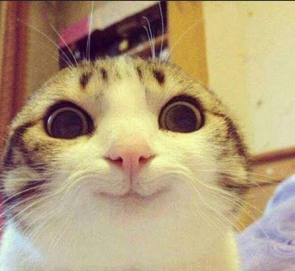 This is exactly when i see a new NFT 😍 what is your reaction guys 😁
#NFTs 
#NFTGiveaways 
#NFTCommunitys
