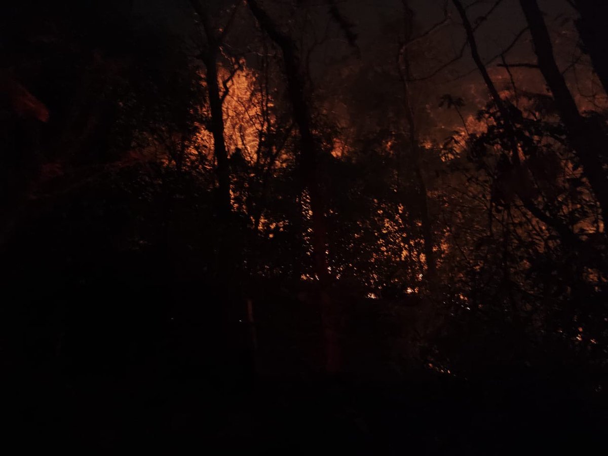 savemollemgoa's tweet photo. We cannot afford to have Mollem burning again! The link between forest fragmentation (caused by large infrastructure projects) and the frequency of forest fires has been scientifically proven. Please note  @bhlab_india @visrane #SaveMollem #GoaIsBurning #StopDoubleTracking https://t.co/8k472Ly8Xr