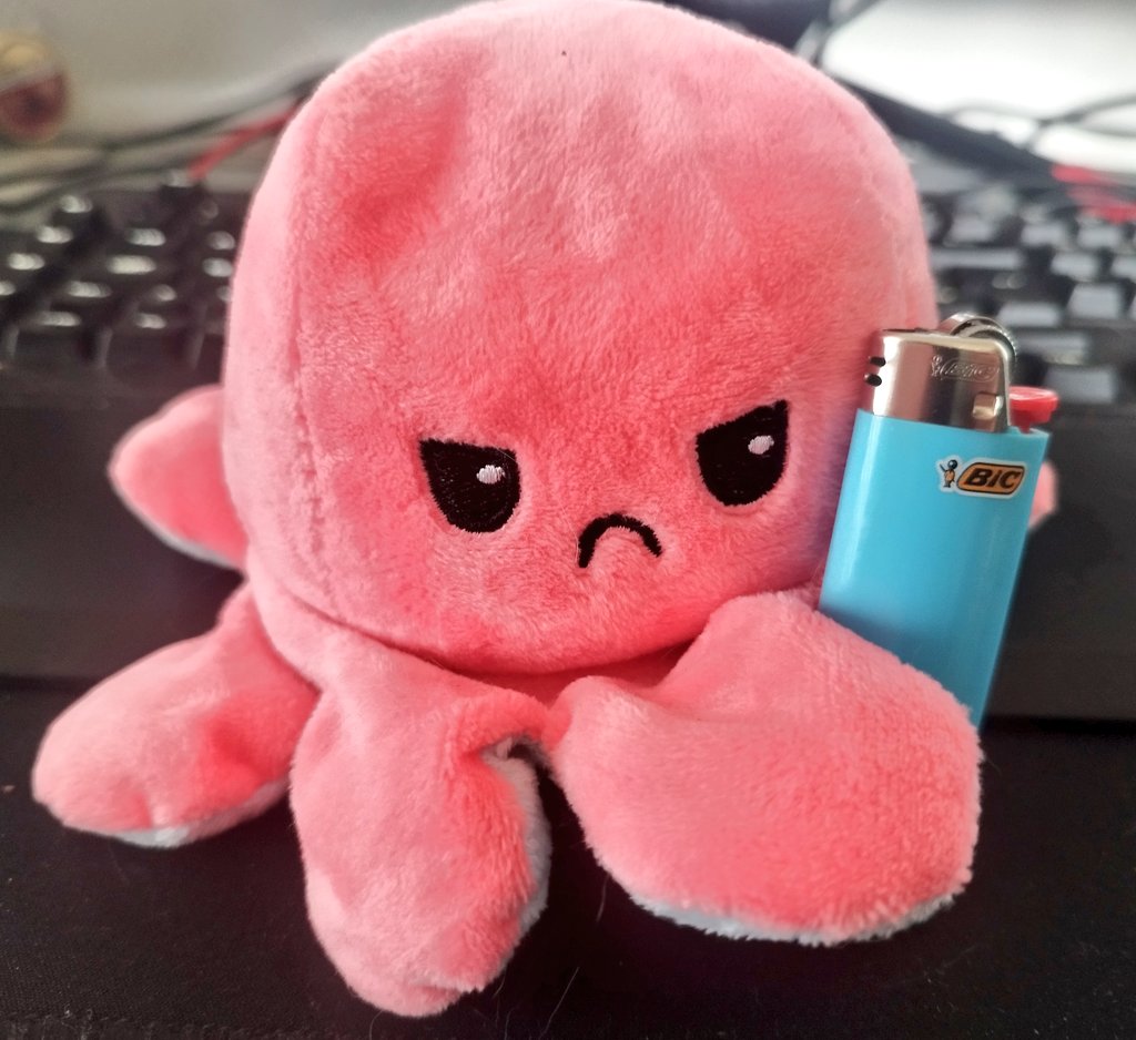 tiny_cat1's tweet image. Les poulpes avec nous ! 
#toucraming