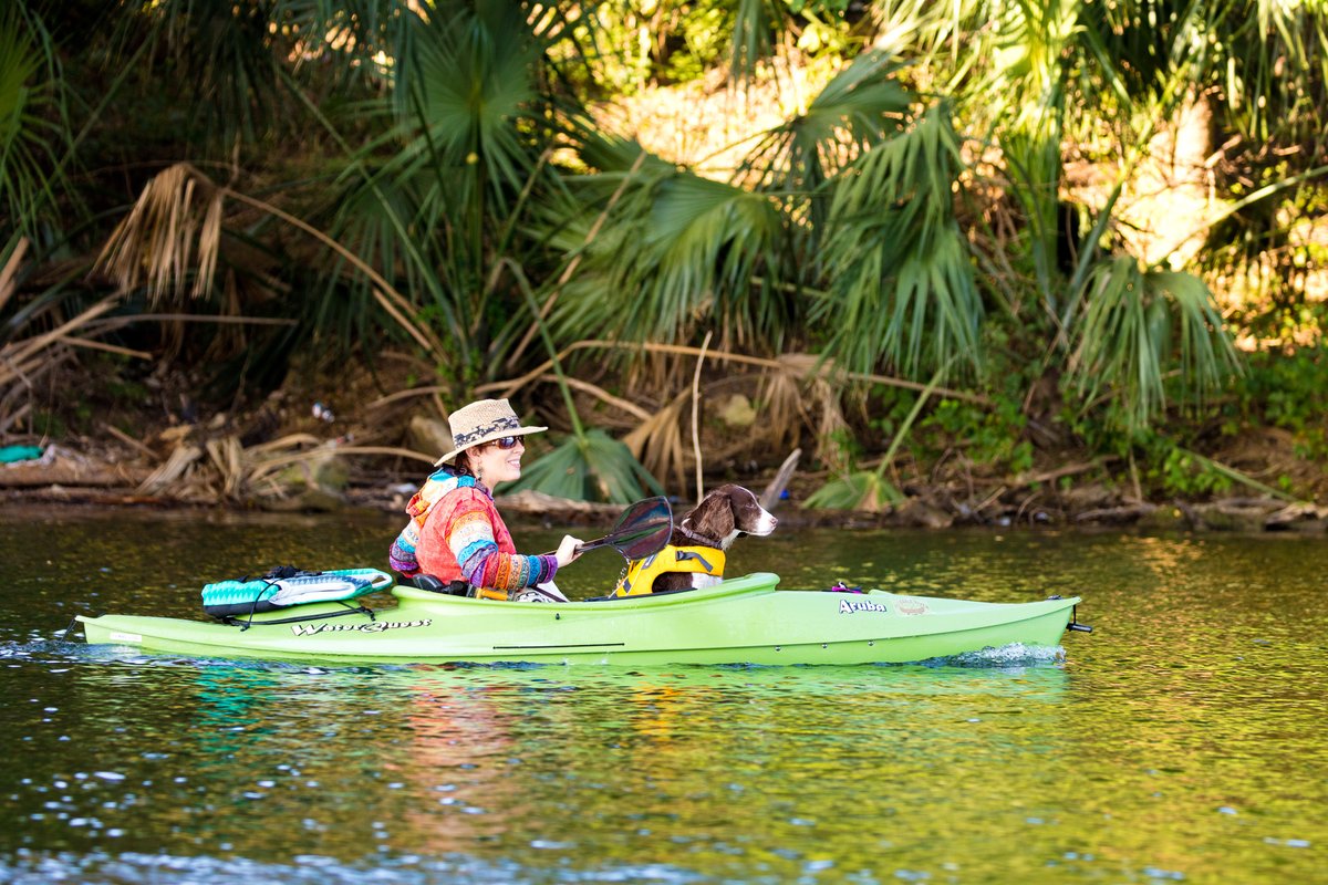 Austin Subaru tweet media