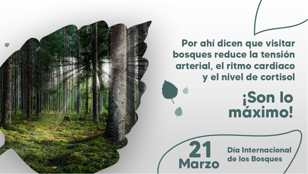 @ruedaverde.col tweet media