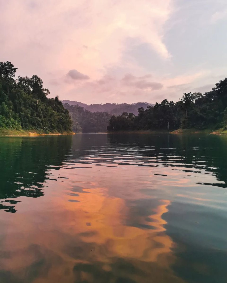 Khao Sok National Park should be on your bucket list.
📍Surat Thani, Thailand
📸 by: yo.in.nature | IG

#khaosoknationalpark #rainforest #thailand #NaturePhotograhpy #travel