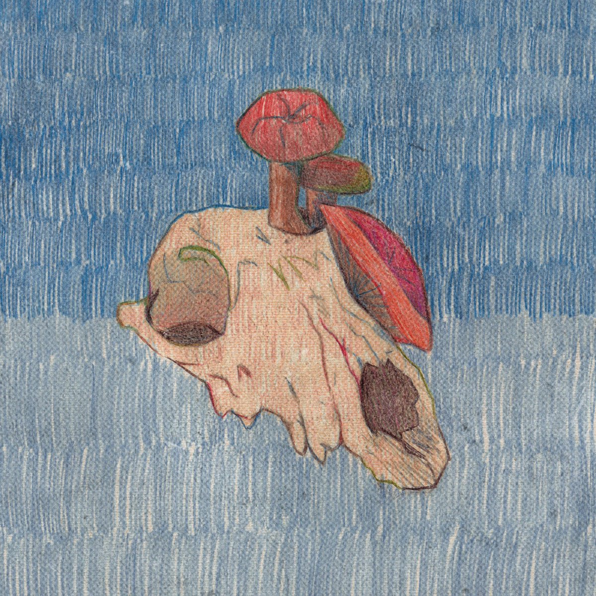 classspet's tweet photo. No Fair - Out everywhere March 28th! Pre-save it on Spotify here!: https://t.co/mDqD93JjCE 
(will be available to preview and pre-order on iTunes tomorrow) 🧠🦴 https://t.co/uAYxx2BLfD