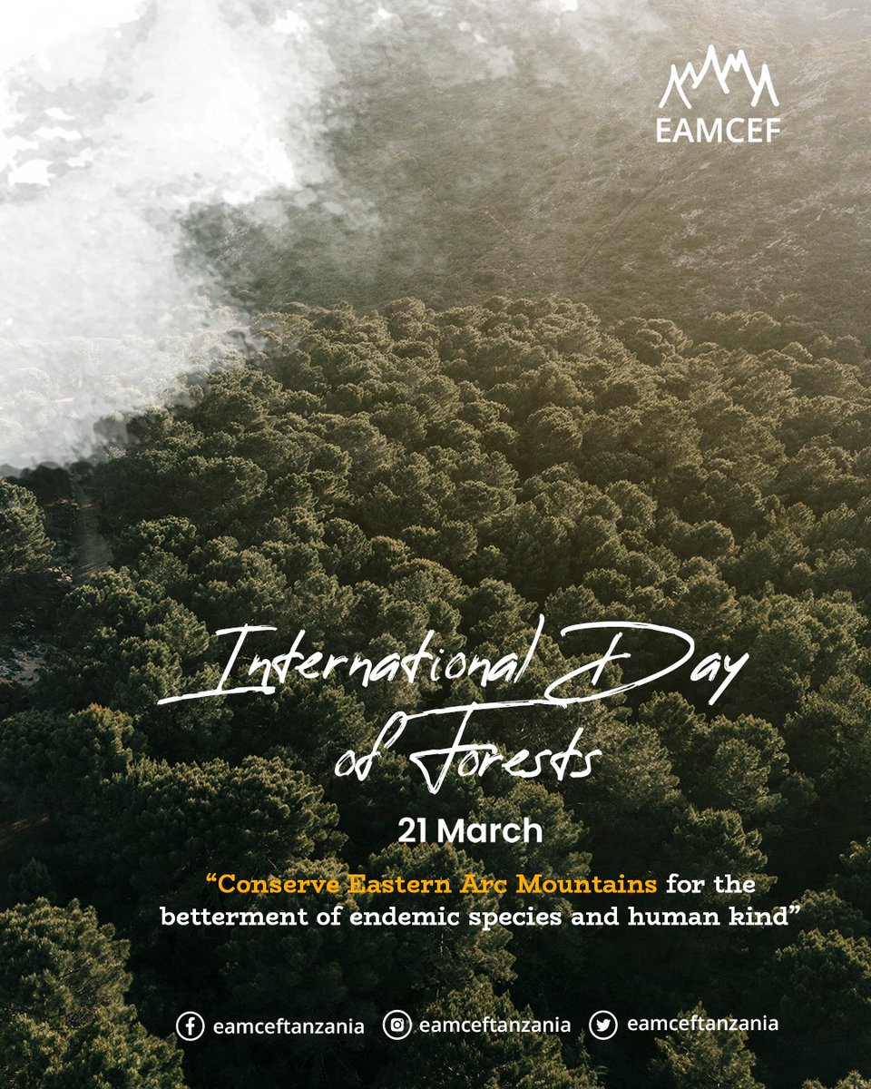 eamceftanzania's tweet photo. Let us join hands to save forests because without them, this planet would be a dead ghost #EAMCEF #EAMs #ecosystem #biodiversity #forestlife #forestday2023 #environment #planttree #forestconservation #conservation 

@NorAmbTz @OUtalii @tawiritz @taforitz https://t.co/hqlyuFqB0k