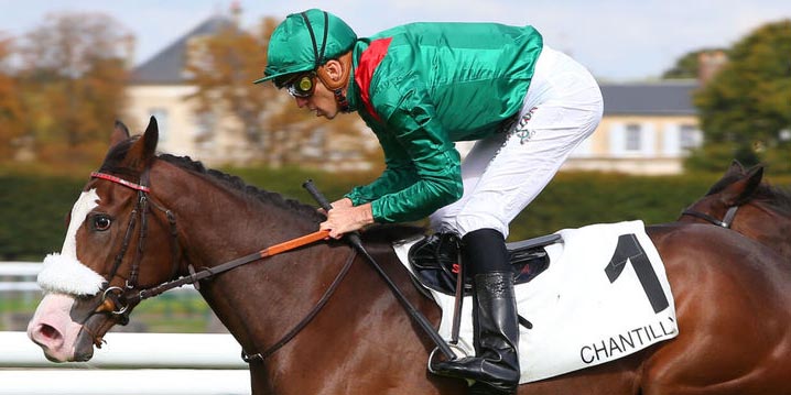 AgaKhanStuds's tweet photo. Also among successful 2022 2yos were winning debutant #Valimi (who won the same maiden as #Zarak & #Erevann in October) and last time out winners #Ashiya, #Dabawa, #Kalikapour and #Tarawa. https://t.co/xxTtid0mAI