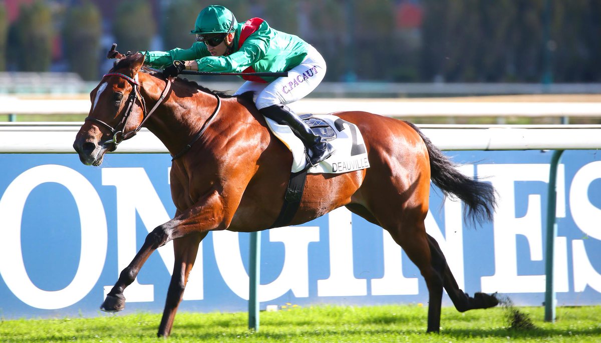 AgaKhanStuds's tweet photo. Also among successful 2022 2yos were winning debutant #Valimi (who won the same maiden as #Zarak & #Erevann in October) and last time out winners #Ashiya, #Dabawa, #Kalikapour and #Tarawa. https://t.co/xxTtid0mAI