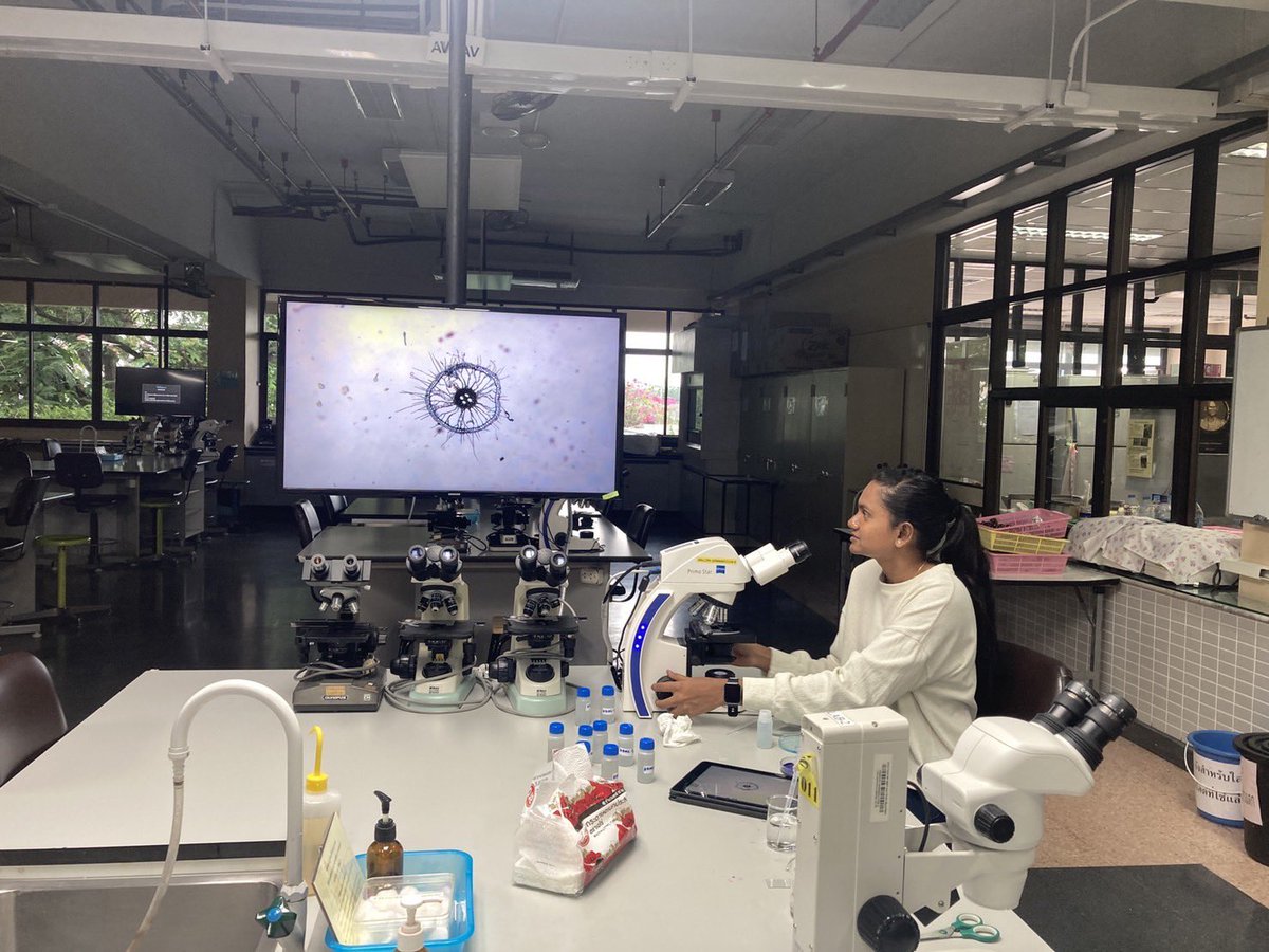 patomkhwan's tweet photo. Root lab Thailand 😉 it has been almost 3 months now that our lab hosts interns from India. They have learnt several techniques on rice #Phenotyping. Happy to see them having fun..#Roots Together for a better world! #rootslab https://t.co/HiybRWg1MD