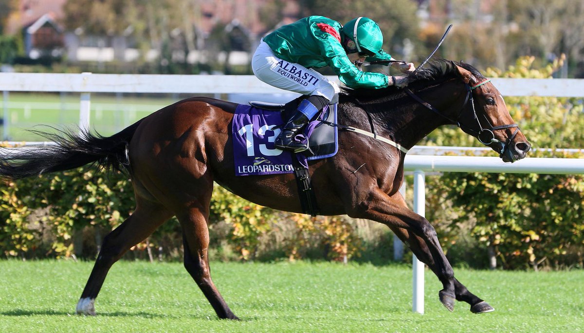AgaKhanStuds's tweet photo. Also among successful 2022 2yos were winning debutant #Valimi (who won the same maiden as #Zarak & #Erevann in October) and last time out winners #Ashiya, #Dabawa, #Kalikapour and #Tarawa. https://t.co/xxTtid0mAI