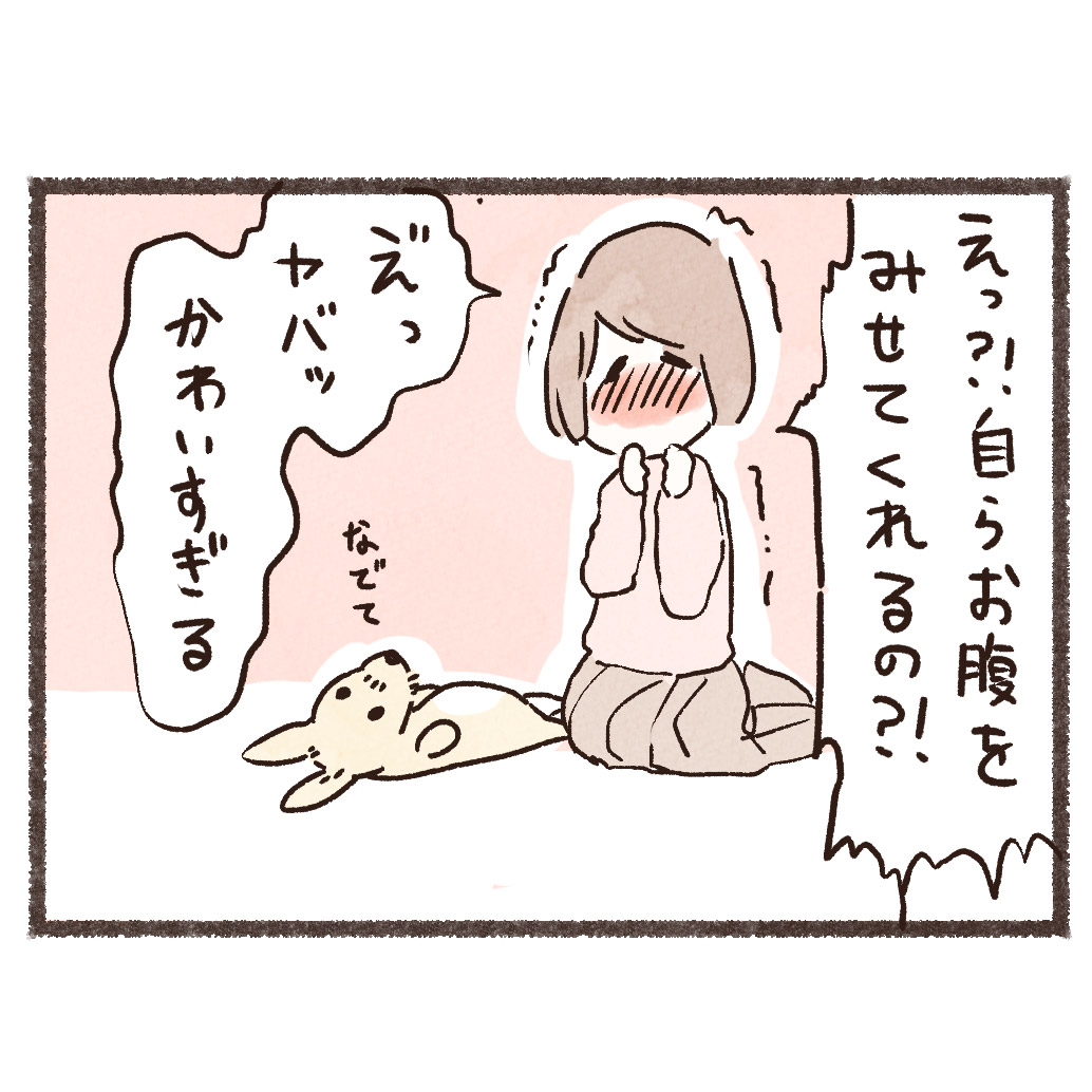 犬の本能、たまらん🐶 
