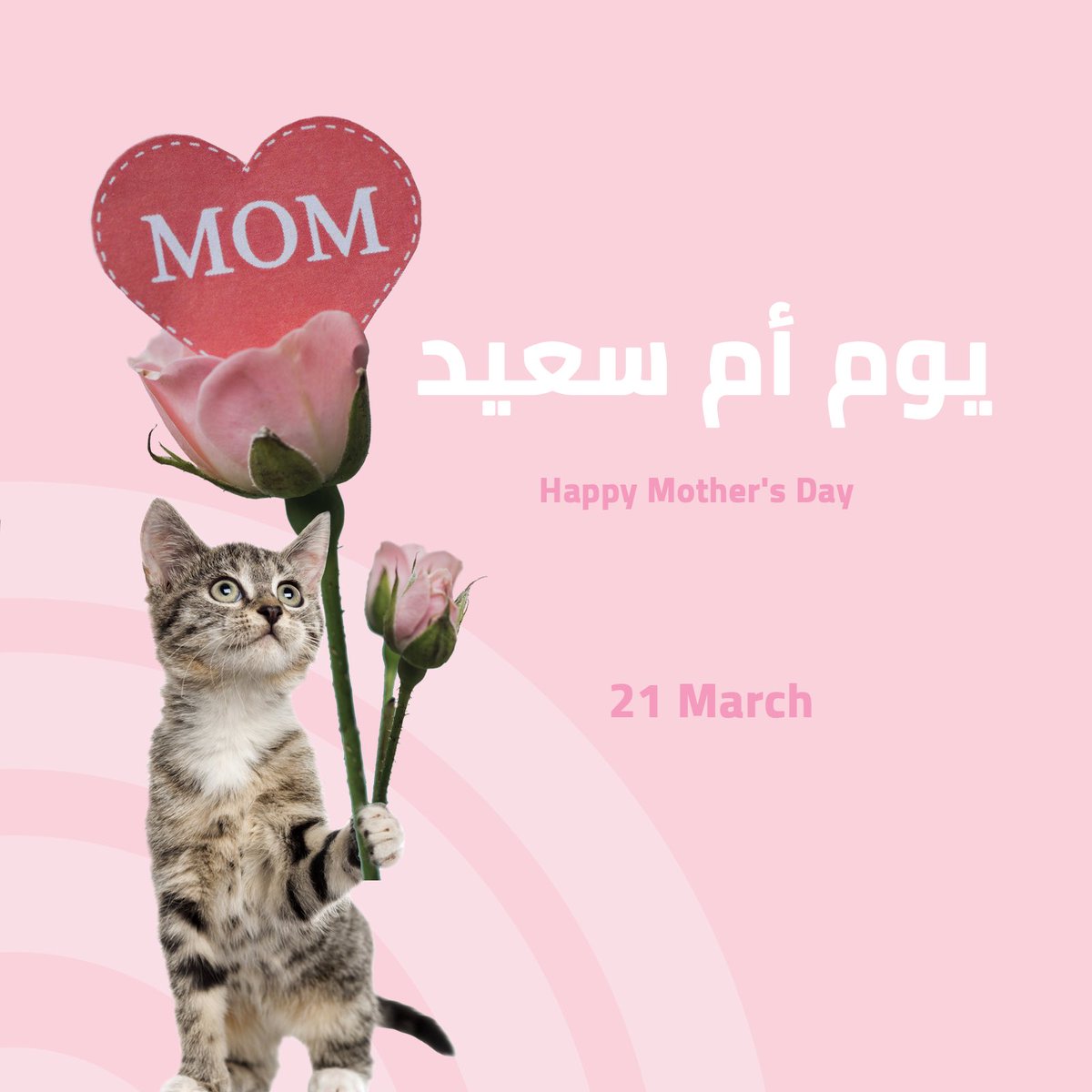 alefah_sa's tweet photo. A mother is always the beginning, she is how things begin❤️❤️🌹
.
.
.
#adpetclinic #MothersDay2023 #يوم_الام https://t.co/0A1zuPz9Jr