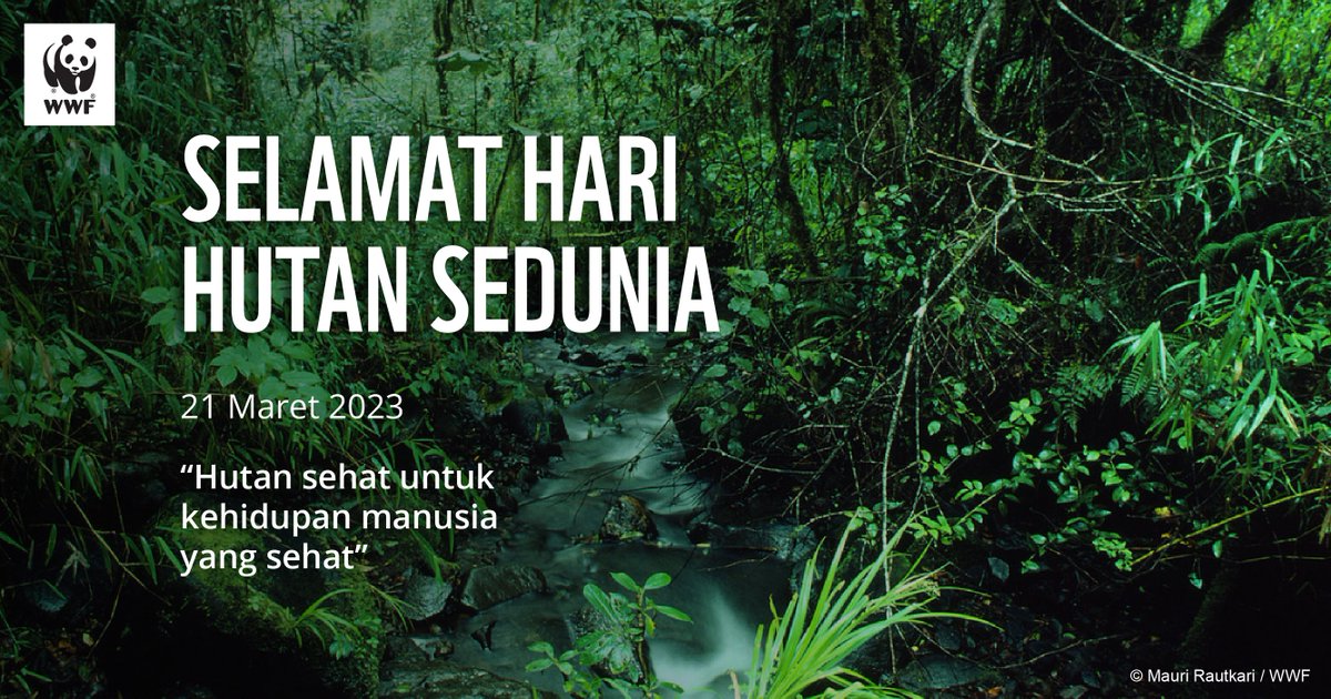 Selamat Hari Hutan Sedunia!  Mari kita jaga kelestarian hutan untuk generasi mendatang. #HariHutanSedunia #WorldForestDay #Connect2Earth #Connect2Nature #NatureMatters